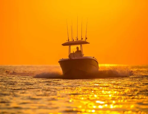 Bootstypen: Finden Sie das ideale Boot für Ihr nautisches Abenteuer bei Nautic Luis