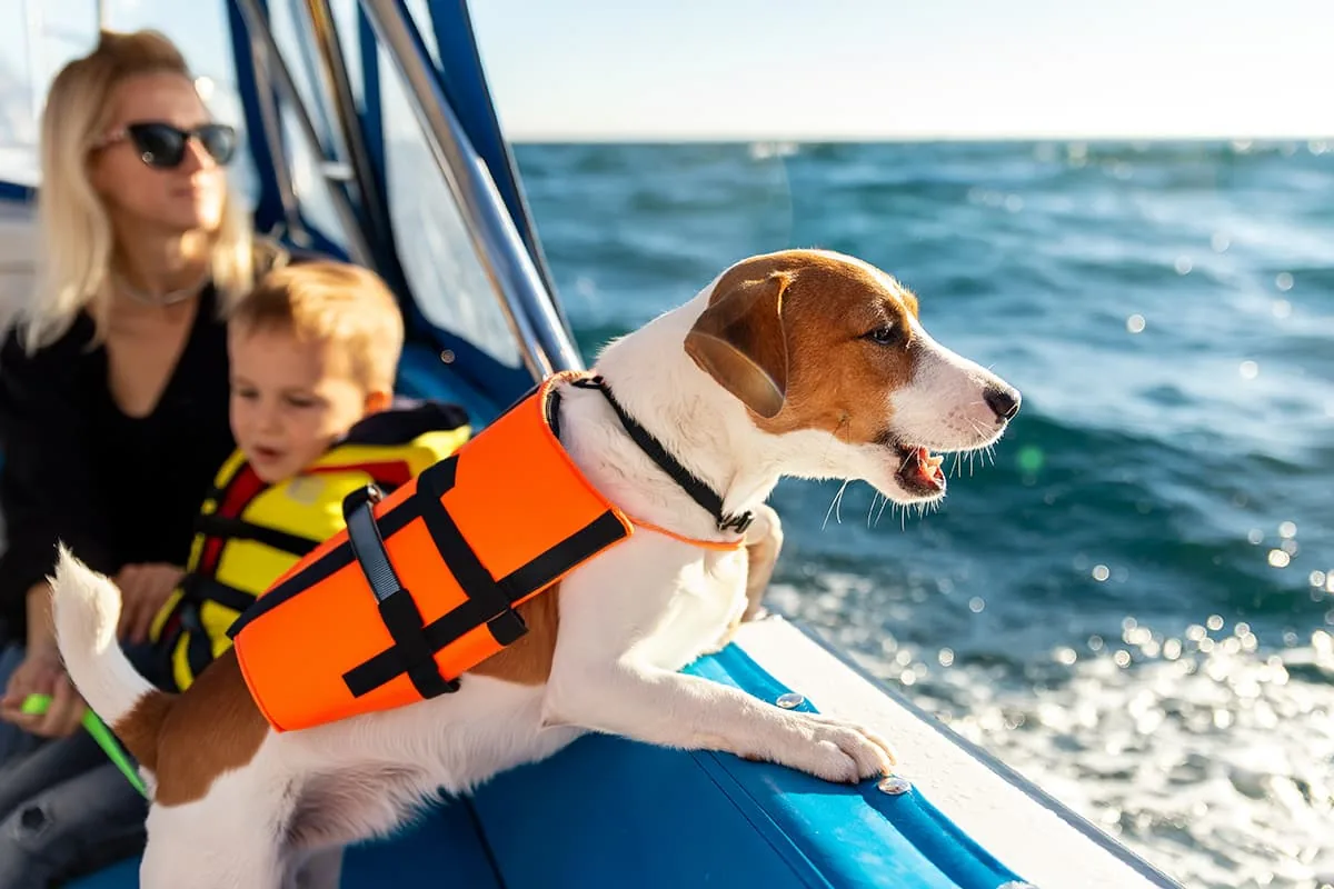 Hund mit Schwimmweste fährt mit Familie Boot