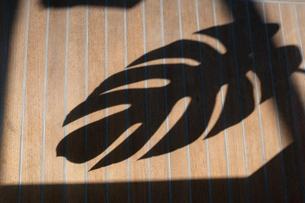 Windy Camira 40 RS, shadow of palm leaves projected onto the teak exterior deck.
